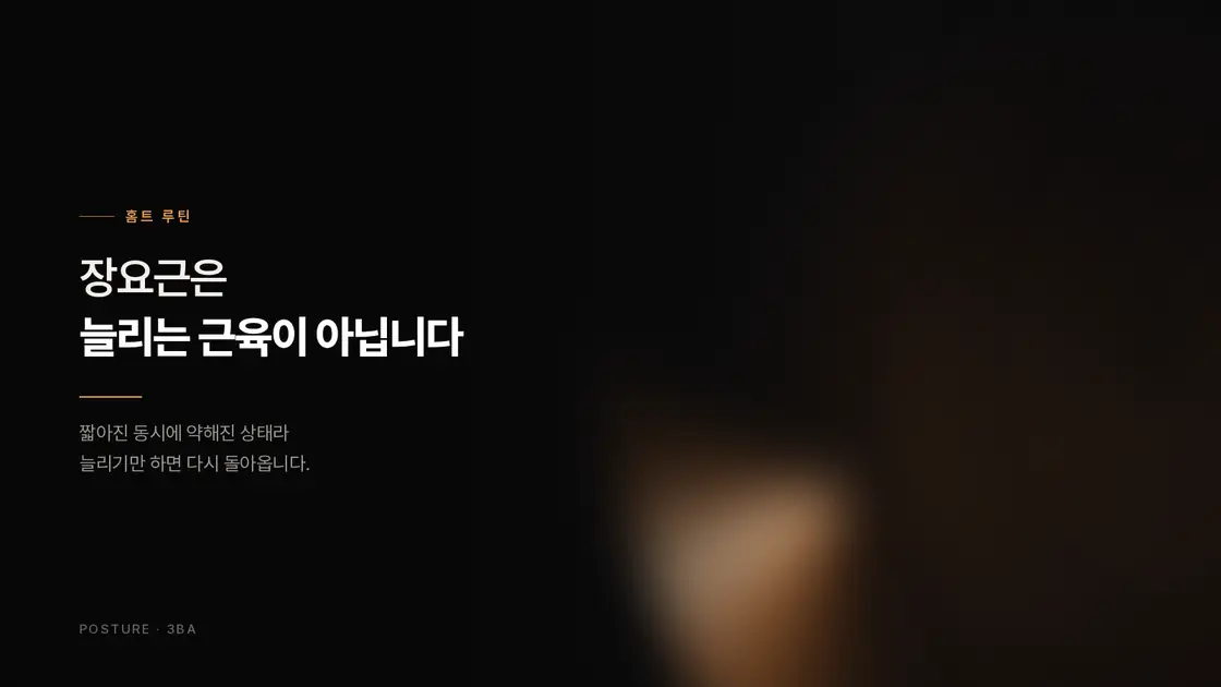 장요근은 늘리는 근육이 아닙니다 — 오래 앉는 사람을 위한 5분 재활성 루틴
